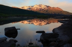 Reflekterte saker