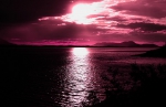 Pink sunset